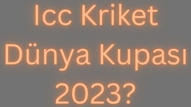 Icc Kriket Dünya Kupası 2023?